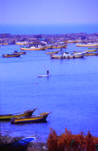 photo of port of gaza